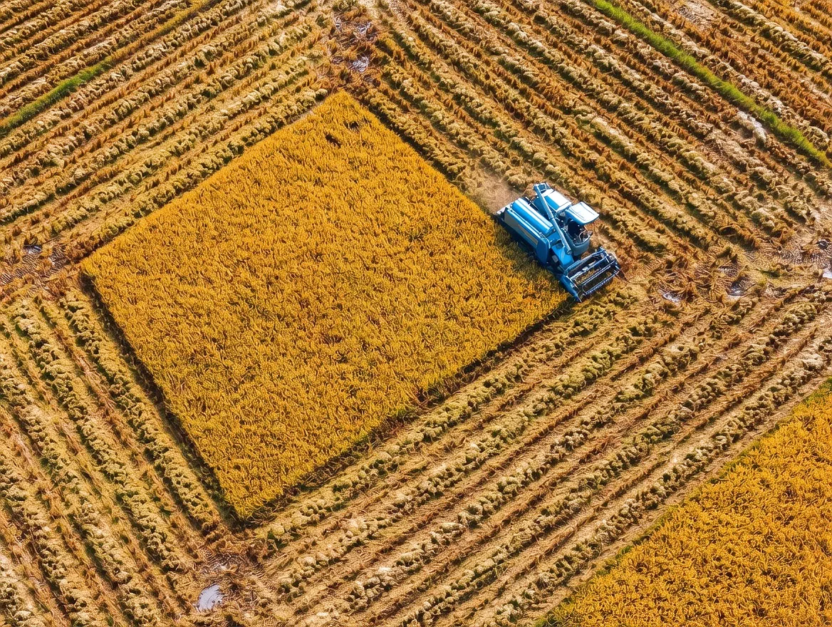 Agricultural coupling application field conditions